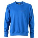 color:royal